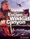 逃离危险峡谷 Escape From Wildcat Canyon/