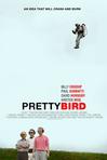 Pretty Bird/