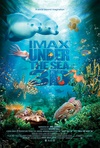 海底世界3D Under the Sea 3D