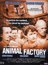 动物工厂 Animal Factory