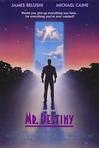 命运先生 Mr. Destiny