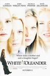 白色夹竹桃 White Oleander