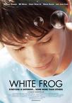 白色蛙 White Frog