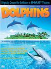 海豚 Dolphins/
