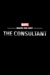 神盾顾问 Marvel One-Shot: The Consultant/