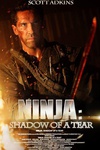 忍者2：撕裂的暗影 Ninja: Shadow Of A Tear