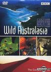 野性澳洲 wild australasia/