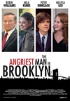 布鲁克林最愤怒的人 The Angriest Man in Brooklyn/