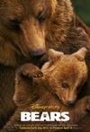 熊世界 Bears/