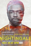 夜莺 Nightingale/