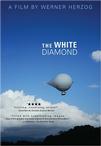 白钻石 The White Diamond/