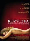 蔷薇 Rózyczka/