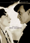 相见恨晚 Brief Encounter/