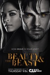 侠胆雄狮 第一季 Beauty and the Beast Season 1/