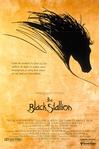 黑神驹 The Black Stallion/