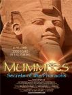 木乃伊之法老的秘密 Mummies: Secrets of the Pharaohs/