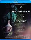 死路一条 A Horrible Way to Die/