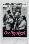 龙虎少年队 Cooley High/