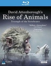 动物的崛起：脊椎动物的胜利 第一季 David Attenborough's Rise of Animals: Triumph of the Vertebrates Season 1/