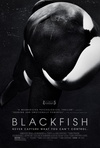 黑鲸 Blackfish/