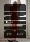 盲视 Blind/