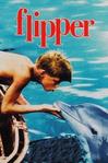 海豚飞宝 Flipper/