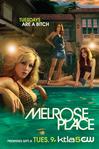 新飞越情海 Melrose Place/